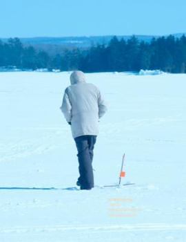 Paperback Investments: Theory, Behavioral Aspects and Applications Book