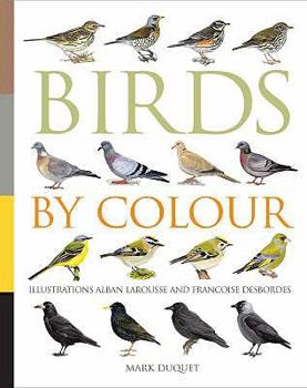 Paperback Birds by Colour Book