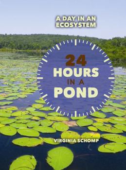 Library Binding 24 Hours in a Pond Book