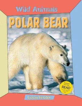 Hardcover Polar Bear Book