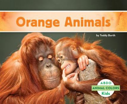 Library Binding Orange Animals Book