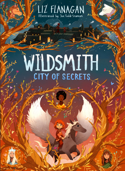 Paperback City of Secrets Book