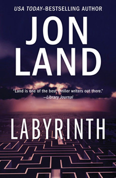 Paperback Labyrinth Book