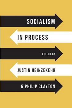 Paperback Socialism in Process Book