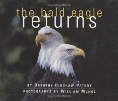 Hardcover The Bald Eagle Returns Book
