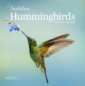 Calendar Audubon Hummingbirds Mini Wall Calendar 2025 Book