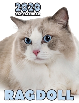 Paperback Ragdoll 2020 Cat Calendar Book