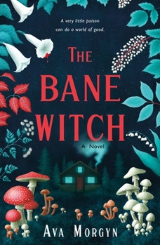 Paperback The Bane Witch Book