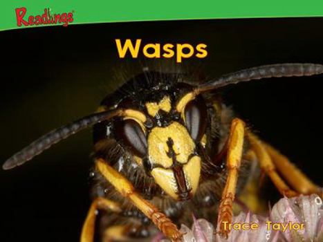 Paperback Wasps Book