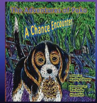 Paperback The Adventures of Poko - A Chance Encounter Book