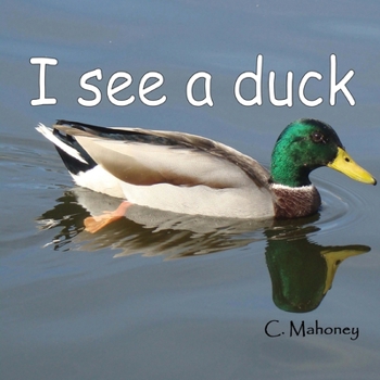 I see a duck: at Discovery Lake in San Marcos