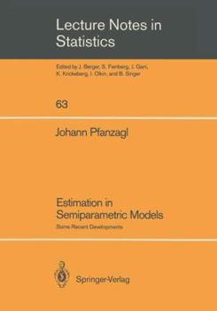 Paperback Estimation in Semiparametric Models: Some Recent Developments Book