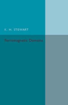 Paperback Ferromagnetic Domains Book