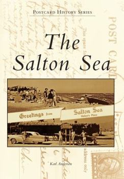 Paperback The Salton Sea Book