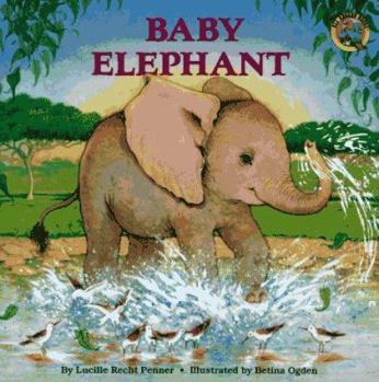 Paperback Baby Elephant Book