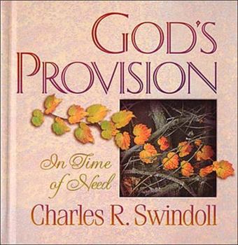 Hardcover God's Provision in Time of Need Book
