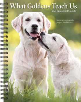 Calendar What Goldens Teach Us 2025 6.5 X 8.5 Engagement Calendar Book