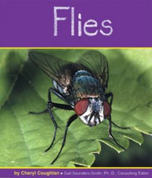 Flies (Insects) - Book  of the Insects