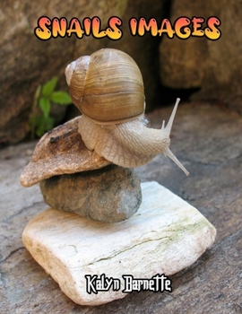 SNAILS IMAGES: SNAIL fact for girl age 1-10 SNAIL fact for boy age 1-10 snail fun facts