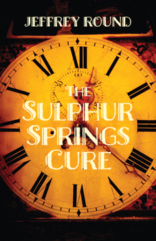 Paperback The Sulphur Springs Cure Book
