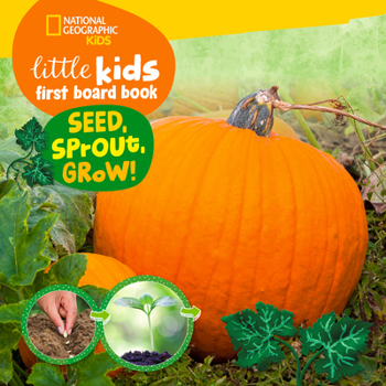 Board book Little Kids First Board Book Seed, Sprout, Grow! Book