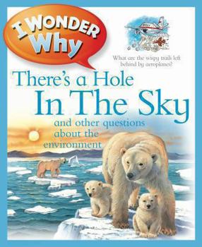 Paperback I Wonder Why There's a Hole in the Sky. Jackie Gaff Book