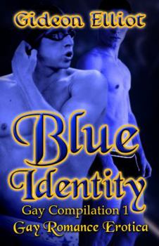 Paperback Blue Identity: Gay Romance Erotica Book