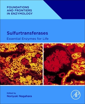 Paperback Sulfurtransferases: Essential Enzymes for Life Book