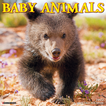 Calendar Baby Animals 2022 Wall Calendar Book