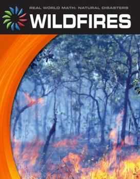 Paperback Wildfires Book