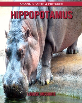 Hippopotamus: Amazing Facts & Pictures