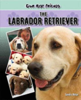 Hardcover Labrador Retriever Book