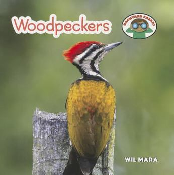 Woodpeckers - Book  of the Backyard Safari