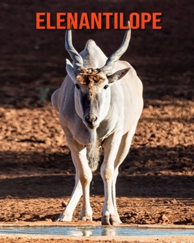 Elenantilope: Sagenhafte Fotos & Buch mit lustigem Wissen über Elenantilope für Kinder (German Edition)