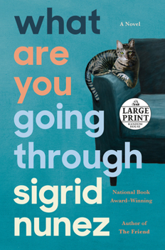 Paperback What Are You Going Through [Large Print] Book