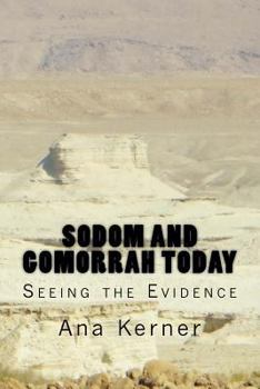 Paperback Sodom and Gomorrah Today: Seeing the Evidence Book