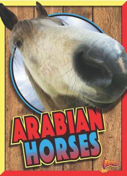 Paperback Arabian Horses Book