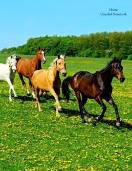 Horse Unruled Notebook: Unruled, blank notebook. No lines. No page numbers. Glossy cover with image on front and back. Full size at 8.5 x 11 inches. Great for artwork or journals.