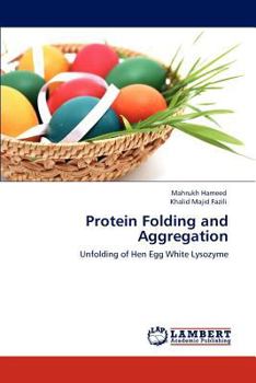 Paperback Protein Folding and Aggregation Book