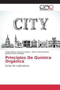 Paperback Principios De Química Orgánica [Spanish] Book
