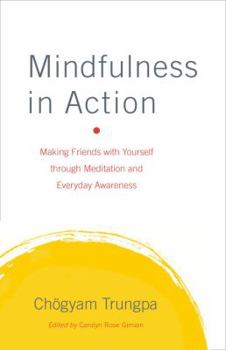 Hardcover Mindfulness in Action: Making Friends with Yourself Through Meditation and Everyday Awareness Book