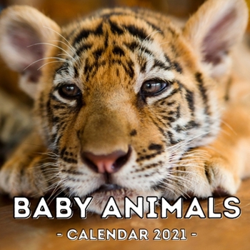 Paperback Baby Animals Calendar 2021: 16-Month Calendar, Cute Gift Idea For Animal Lovers, Women & Men Book