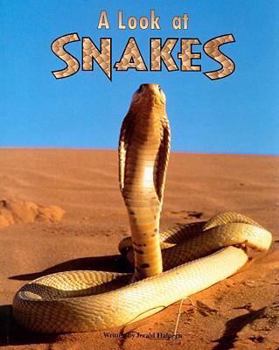 Paperback A Look at Snakes Book