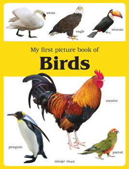 Paperback My First Book Of Birds Book