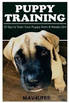 Paperback Puppy Training: 10 Tips to Train Your Puppy from 8 Weeks On! Book