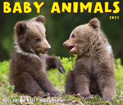 Calendar Baby Animals 2021 Box Calendar Book