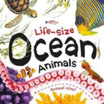 Board book Life-size: Ocean Animals (Life-size Boards) Book
