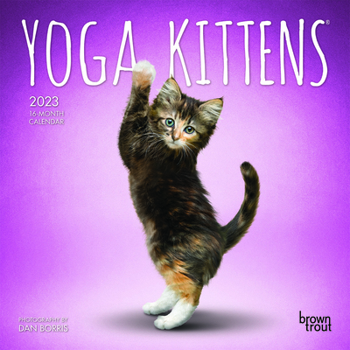 Yoga Kittens 2023 Mini 7x7