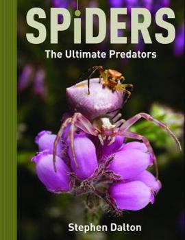 Hardcover Spiders: The Ultimate Predators Book