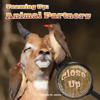 Paperback Finding a Mate (Close-Up on Amazing Animals) Book